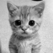 Profile Picture of Crystal Li (@crystalli4308) on Youtube