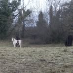 Profile Picture of Julie Fitzgibbon (@julie.fitzgibbon.73) on Facebook