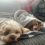 Profile Picture of Robert Bohan (@robert.bohan.31) on Facebook