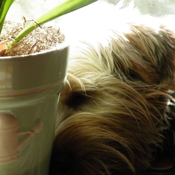 Kelly Houser wilson - Poshmark Profile Picture of Kelly Houser wilson (@joekellywilson2) on Poshmark