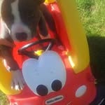 Profile Picture of Jonathan Lund (@lund.jonathan) on Instagram