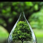 Profile Picture of Basil Dawn (@basil.dawn.2025) on Facebook