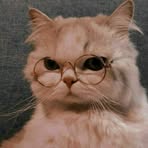 Profile Picture of Clémence Billet (@Clémence-Billet) on Facebook