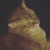 Profile Picture of Austin Lamb (@austinlamb3053) on Youtube