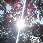Profile Picture of David Peisner (@davidpeisner) on Instagram