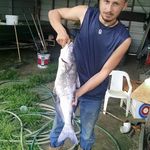 Chad Lee Daughtry Jr - Instagram Profile Picture of Chad Lee Daughtry Jr (@chadjr1996) on Instagram