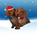 Profile Picture of Marilyn Wiltz (@mnwiltz) on Pinterest