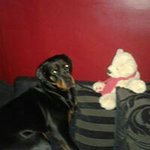 Profile Picture of Alexander Rowley (@rowley_alexander) on Instagram