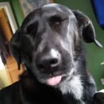 Profile Picture of Robin Cochrane (@robin.cochrane.35) on Facebook