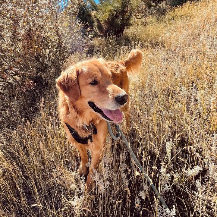 Hannah Franklin - Tiktok Profile Picture of Hannah Franklin (@han.franklin) on Tiktok