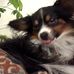 Profile Picture of Alyce Trowbridge (@alyce.trowbridge.75) on Facebook
