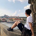 Kyle Liu - Instagram Profile Picture of Kyle Liu (@kyleliu66) on Instagram