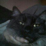 sebastian - Instagram Profile Picture of sebastian (@glenn.e.s.slaughter) on Instagram