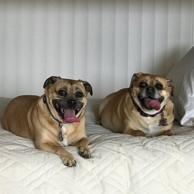 Profile Picture of Debbie Saenz (@dopegirldeb66) on Twitter