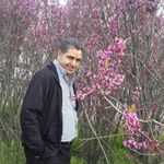 Profile Picture of iraj.javadijam (@iraj.javadijam) on Instagram