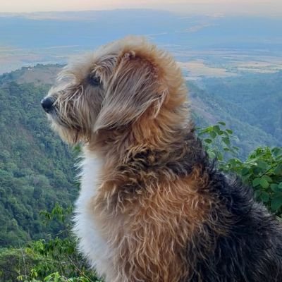 Profile Picture of Lilia Oneida Ramirez (@LiliaOneida1) on Twitter