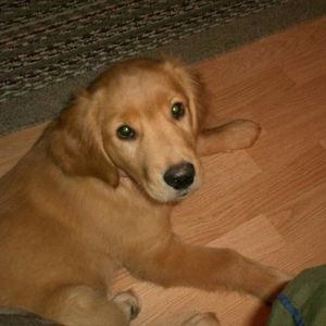 Profile Picture of Amy Salenski (@abby692004) on Myspace