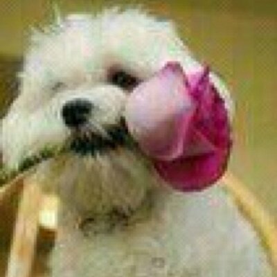 Profile Picture of Lorenza Mendoza (@lenchis2307) on Twitter