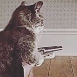 Profile Picture of Nicolás Cerda (@nakceilcito_de_awa) on Instagram