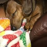 Profile Picture of Lora Arnett (@arnett.lora) on Instagram