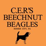 Profile Picture of Justin Frankie Reichel (@beechnutboy) on Instagram