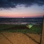 Profile Picture of Sheryl Mathews (@sherylmathews) on Instagram