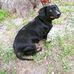 Profile Picture of Phillip H Sipe Sr. (@phillip.sipe.50) on Facebook