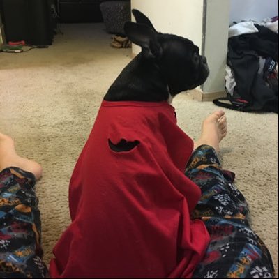 Profile Picture of Jonas Porter (@jonasporter8) on Twitter