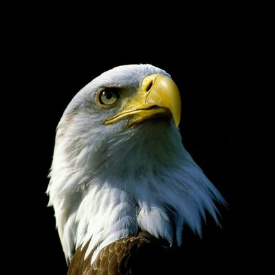 Profile Picture of Mohamed Chaoui (@mohamedchaoui73) on Twitter