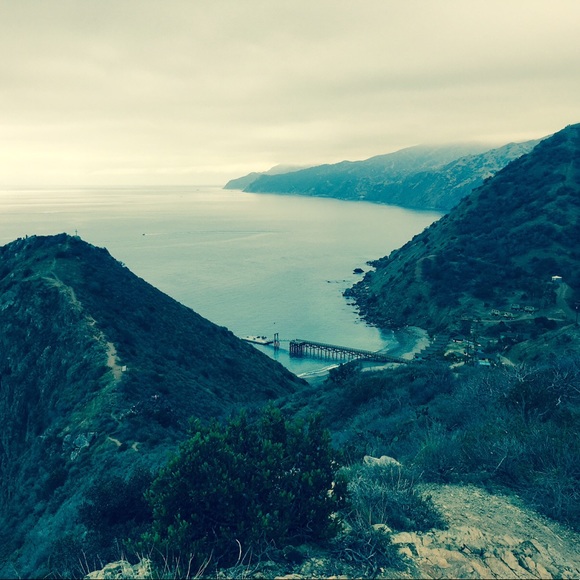 Profile Picture of Kim Bronson (@ledvino) on Poshmark