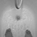 Profile Picture of James Harrison (@jamesharrison.photo) on Flickr