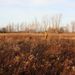 Profile Picture of Christa Brown (@horseandhunt1) on Pinterest