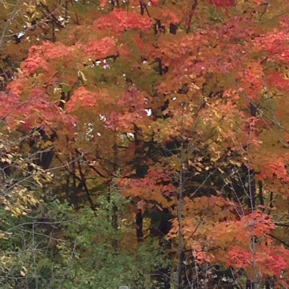 Profile Picture of Mindy Bradow (@mindy7000) on Poshmark