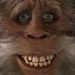 Profile Picture of Jason Carten (@rabbiwhitey) on Pinterest
