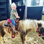 Profile Picture of Cami Edwards🎀 (@kamikajane) on Instagram