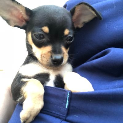 Profile Picture of Fatima Mayorga (@fatimayorga99) on Twitter