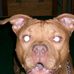Profile Picture of Bill Hagen (@bill.hagen.311) on Facebook