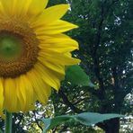 Abagail Roberts - Facebook Profile Picture of Abagail Roberts (@abagail.roberts.92) on Facebook