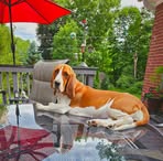 Profile Picture of Richard Eisiminger (@reisiminger) on Facebook