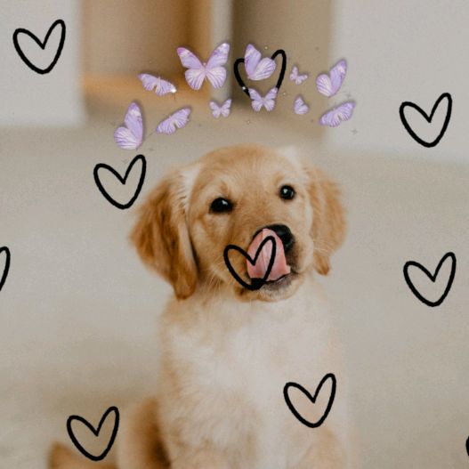 Profile Picture of Stacie Baird (@staciebaird0) on Tiktok