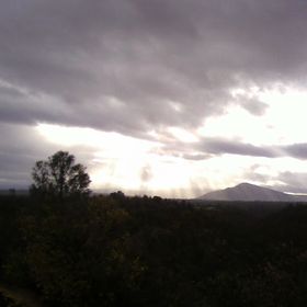 Profile Picture of clear balloons (@clearballoons) on Pinterest