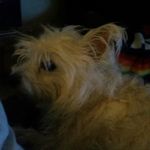 Profile Picture of Bruce Conrad (@bruce.conrad) on Instagram