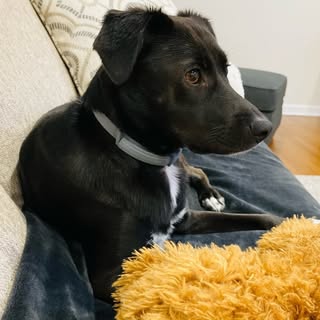 Profile Picture of Lisa Monit (@lisamonit) on Instagram