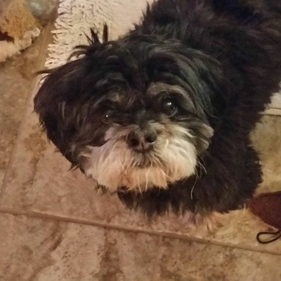 Profile Picture of Gloria Husarik (@ghusarik2001) on Poshmark