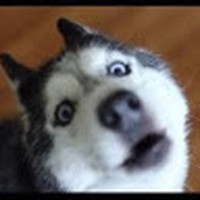 Profile Picture of Dustin Scruggs (@dustin-scruggs-6) on Quora