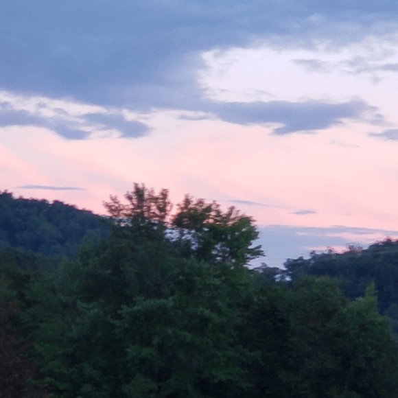 Profile Picture of Alisa Blevins (@nannieof62022) on Poshmark