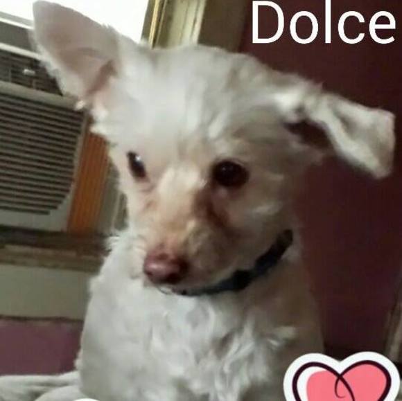 Profile Picture of Lisa Cesareo (@leecesareo) on Poshmark