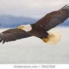 Profile Picture of Scott Carwile (@scott.carwile.988) on Facebook