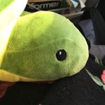 Profile Picture of Harold💚 (@harold_the_shyturtlle) on Instagram