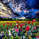 Profile Picture of Erick Chicas (@chicas.erick) on Instagram